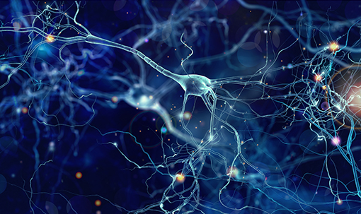 Dept_Neurology