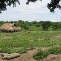 Project site Peru