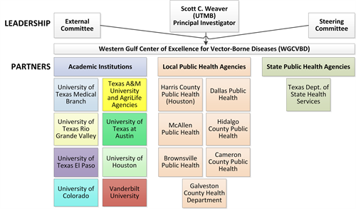 WGCVBD Leaders and Partners